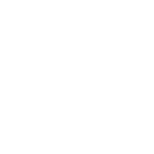 Soul Shine Shops